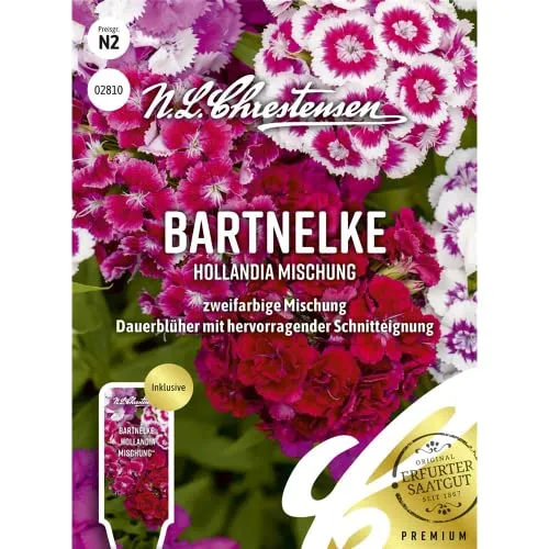 Bartnelke Hollandia Mischung Samen, Saatgut