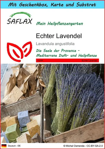 SAFLAX Blumensamen SAFLAX - Geschenkset - Echter Lavendel