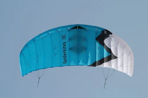 Wasabi 2.4 (R2F) Lenkmatte von Spiderkites