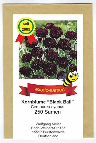 Centaurea cyanus in schwarz von exotic-samen
