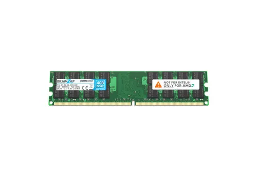 BRAINZAP 4GB RAM PC2-6400U-666 DIMM PC-Arbeitsspeicher (800 MHz, CL6, 2Rx16, Non-ECC, Unbuffered, Desktop-PCs - nur AMD)