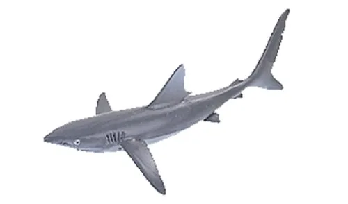 SCHLEICH 16078 Blauhai