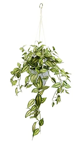Flair Flower Tradescantiahängeampel – Kunstpflanze für stilvolle Dekoration - Die Tradescantiahängeampel bringt üppige Blattpracht in dunkle Ecken. Ideal für Feste oder als Geschenkidee. Detailreich und flexibel formbar – das ganze Jahr über ein Blickfang!