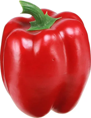 Künstliche Paprika Dekoration für Küche und Schaufenster