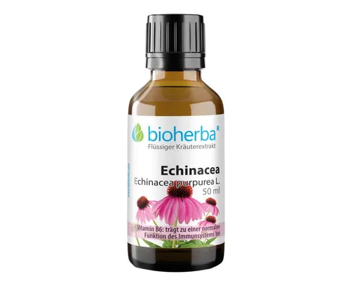 BIOHERBA R Echinacea Echinacea purpurea L. Tropfen Tinktur 50 ml Nahrungsergänzungsmittel