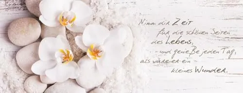 artissimo Bild aus Glas 80x30 cm Spruch AG1903A – modernes Glasbild Orchidee Wandbild Querformat, Wanddeko Wohnzimmer, weiß beige, skandinavisch Landhaus
