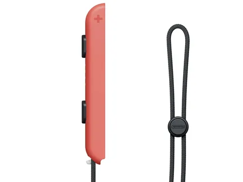 Zubehör für Gamecontroller von Nintendo