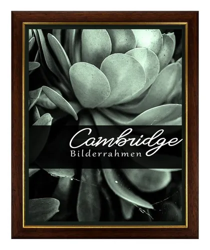 Einzelrahmen Bilderrahmen Cambridge, (1 Stück), 21x29,7 cm (DIN A4), Nussbaum Gold, Holz