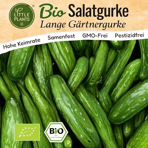 Little Plants BIO Gurke Samen 10 Gurkensamen Salatgurke Gemüsesamen Samenfest für Gemüsegarten Gemüse Samen Hochbeet Samen für Küche, Balkon und Garten