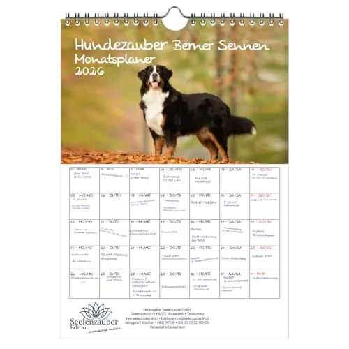 Hundezauber Berner Sennen Planer DIN A4 Kalender für 2026 Welpen und Hunde - Seelenzauber