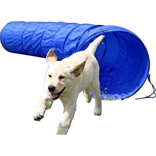 Dobar Agility Tunnel 300 cm Ø 50 cm Blau - Apportierspielzeuge: Robuster und leichter Agility-Tunnel für Hunde, ideal für Training und Wettkämpfe. Einfach zu transportieren und zu reinigen, mit Heringen für sicheren Halt.