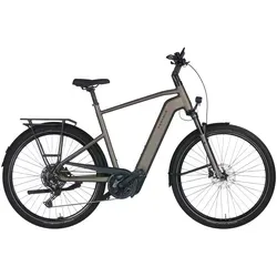 Pegasus Premio EVO 10 Lite 800 Wh Herren E-Bike von Pegasus