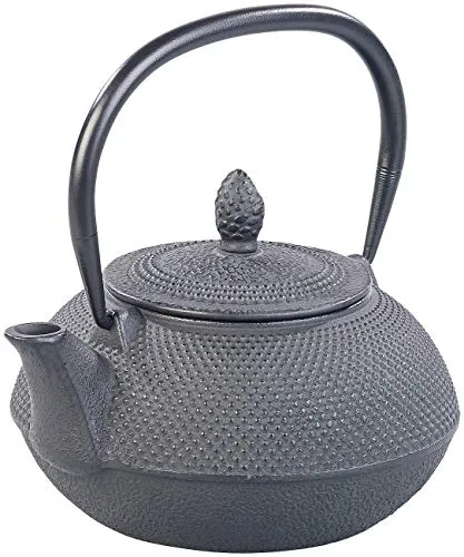 Rosenstein & Söhne Teekanne Guss: Asiatische Teekanne aus Gusseisen mit Edelstahl-Sieb, 0,9 l, schwarz (China, Tee-Kannen, Wasserkocher)