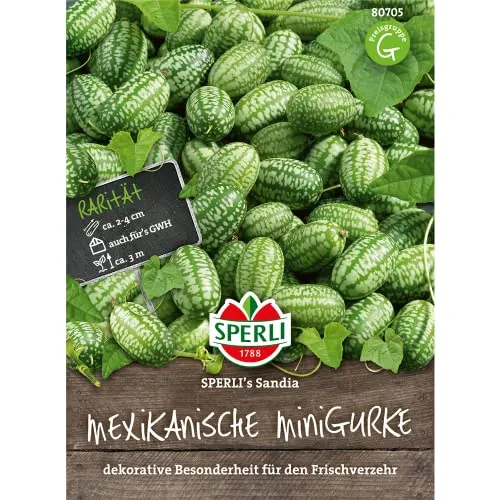 Sperli Gemüsesamen Gurken Mexikanische Minigurke 'Sandia', grün