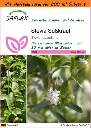 SAFLAX Kräutersamen SAFLAX - Garden in the bag - Stevia Süßkraut