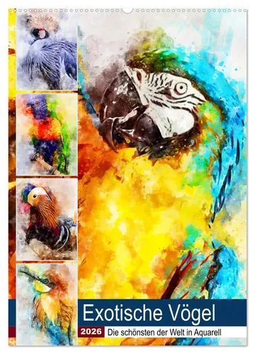 Anja Frost | Exotische Vögel - Aquarellkalender 2025 - Entdecken Sie die farbenfrohe Vogelwelt in diesem einzigartigen Kalender von Anja Frost. Ideal für Natur- und Kunstliebhaber, mit 14 Seiten voller inspirierender Aquarelle.