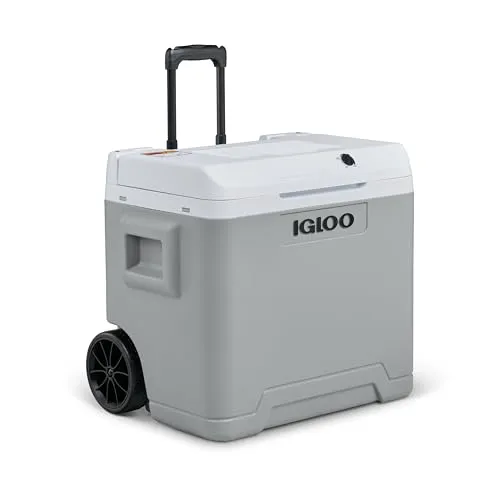 IGLOO IE42 elektrische Kühlbox, 12V und 230V, 42L