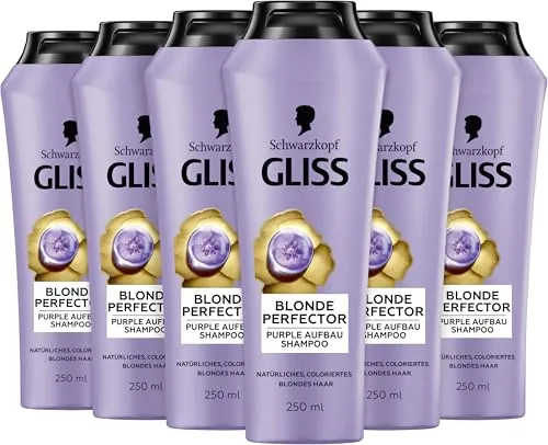 Gliss Blonde Perfector Purple Shampoo (6x 250 ml), Blond Shampoo mit Anti-Gelbstich-Effekt für natürlich blondes und gefärbtes Haar, mit Peptiden & Blaubeer-Extrakt