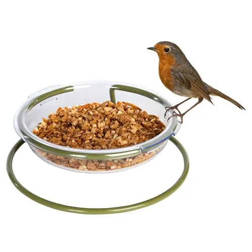 Garten-Futterstation – I Love Robins Easy Clean Treat Dish für Rotkehlchen