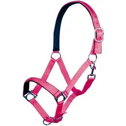 Shetty, Fuchsie 3900: Pferdenippel Mit Weicher Polsterung Modell Stars Softice