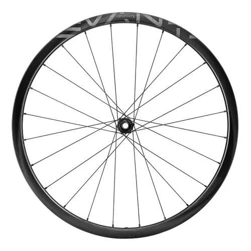 Campagnolo Levante 2-WayFit DB Laufradsatz 28