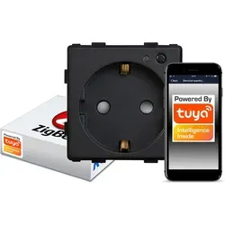 Intelligente ZigBee-Wandsteckdose TUYA RTX SH C - Schwarz