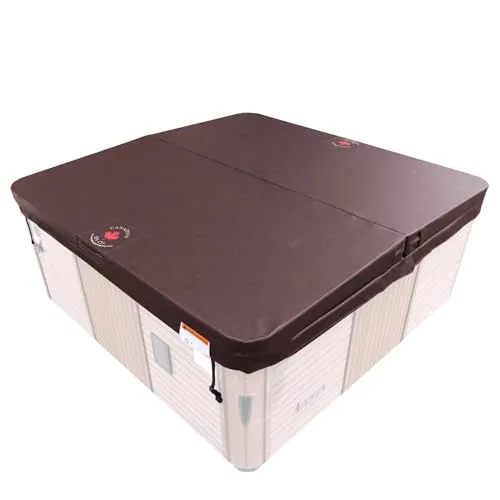 Pool & Spa Braun von CANADIAN SPA CO.