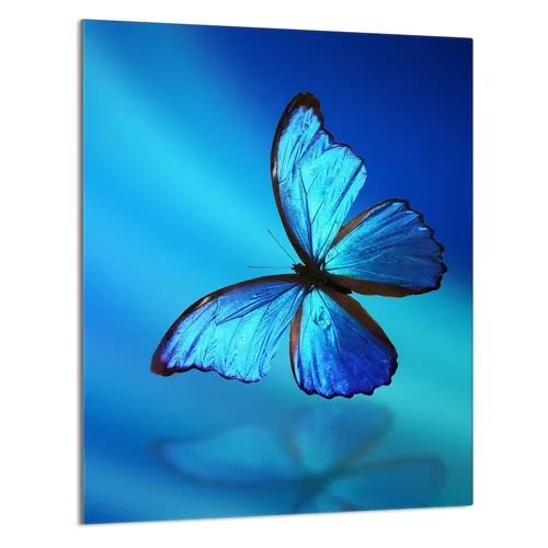 Glasschneidebrett 40x52 Schmetterling in blau von DarHaus