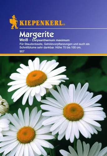 Sperli Blumensamen Margerite, weiß/grün