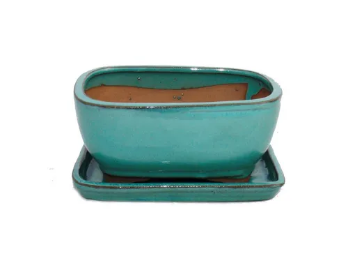 Exotenherz Pflanzschale Bonsai-Schale Unterteller Gr. 2 Sonderglasur türkis oval G92 L 15,5cm
