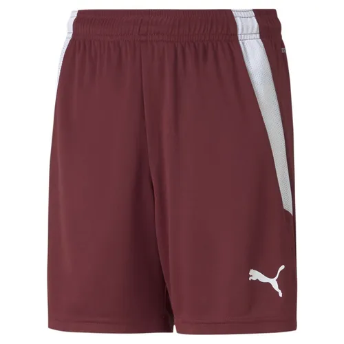Puma Teamliga Shorts Kinder - Bordeaux in rot von PUMA