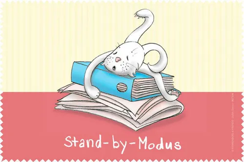 Microfasertuch / Laptoptuch 20 x 30 cm 