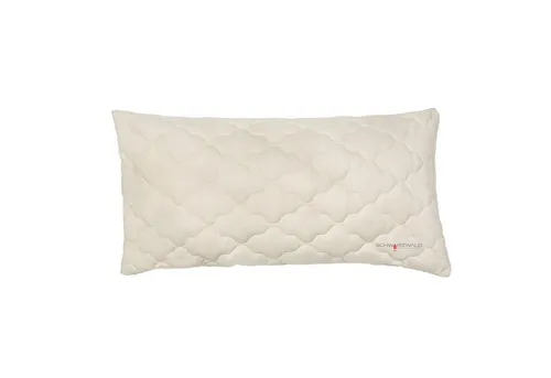 Produktbild OBB Dinkelkissen Nana 40x60 cm