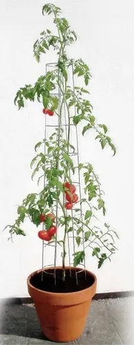 Bellissa Tomatenturm 120 cm hoch Spalier Rankhilfe Rankgitter