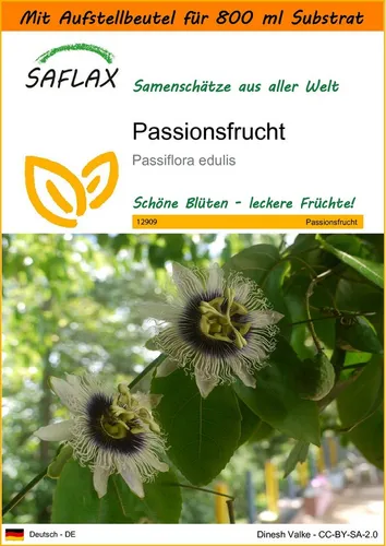 SAFLAX Blumensamen SAFLAX - Garden in the bag - Passionsfrucht