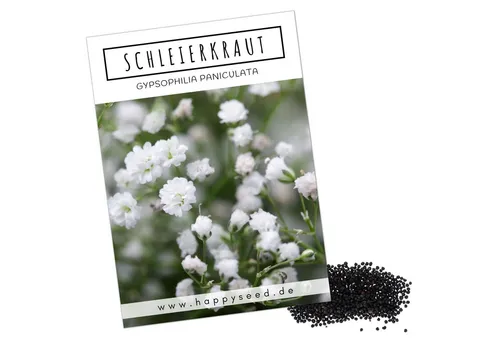 HappySeed Blumensamen Schleierkraut Samen - Gypsophilia paniculata, Blumen