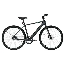 Tenways CGO600 Pro 360 Wh Herren E-Bike