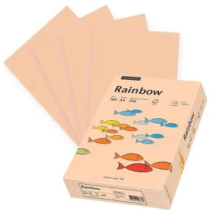 Papyrus Kopierpapier Rainbow 88042505, A4, 160g/qm, lachs, 250 Blatt