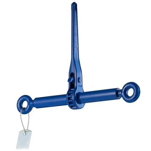 Ratschenspanner Kettenspanner mit Ösen 5000 kg 8 mm GK10