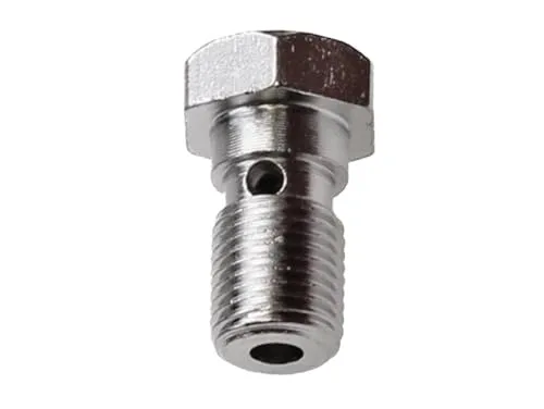 Hohlschraube Bremsleitung M10x1,0 für AJP & Brembo Bremssattel