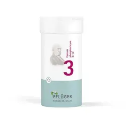 Biochemie Pflüger 3 Ferrum phosphoricum D 12 Pulv. 100 g