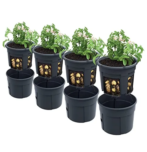 PAFEN 4X Kartoffelanbau Kartoffel-Pflanztopf – 295 x 235 mm - Kartoffel-Anzuchttopf Gemüse Kartoffeln Pflanzkübel Pflanztopf