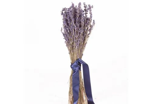 Trockenblume Echter Lavendel getrocknet Lavendelstrauß Deko Lavendelbund Ernte 2025 Lavendel, ROSEMARIE SCHULZ Heidelberg, Höhe 35 cm, französischer Lavendel aus der Provence auch für Lavendelsäckchen