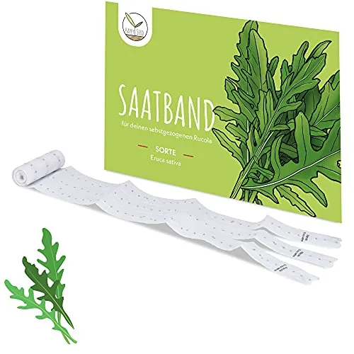 5m Saatband Rucola Samen (Eruca sativa) - Aromatisch, nussige Salatrauke ideal für die Anzucht im Garten, Balkonkasten & Gemüsebeet