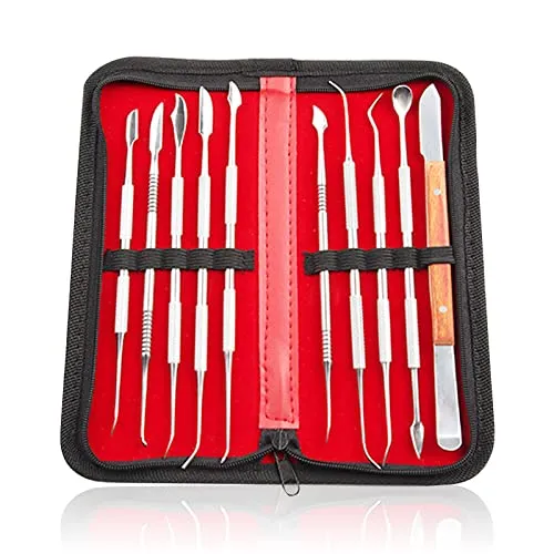 Nizirioo Modellierwerkzeug Modelierwerkzeugset Wachsschnitzer Werkzeuge: 10 Stück Töpferwerkzeug Set Edelstahl mit Tragetasche, Ton Werkzeug,Doppelendig Schnitzwerkzeug für Bildhauerei, Detaillierung