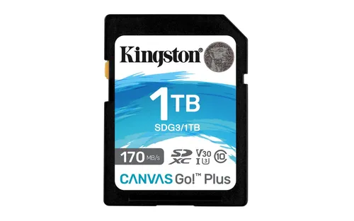 Canvas Go! Plus SD 1TB - Hohe Geschwindigkeit - SDXC Flash-Speicherkarte mit 1TB Kapazität und beeindruckenden Übertragungsgeschwindigkeiten von bis zu 170MB/s, ideal für professionelle Foto- und Videoanwendungen.