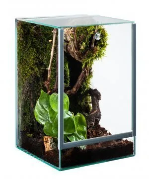 Glas Terrarium 15x15x20 mit Falltür - Terrarien für Reptilien & Amphibien, ideal für die artgerechte Haltung mit praktischer Guillotine Tür für einfachen Zugang.