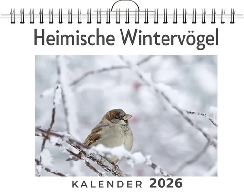Ava Keller | Heimische Wintervögel | Kalender | Deutsch | 2026 | FlipFlop