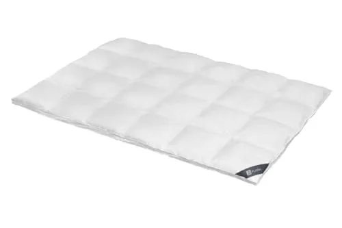 SPESSARTTRAUM Gänsedaunenbettdecke Platin - Winterdecke aus 100% reinen weißen Gänsedaunen, allergikerfreundlich und hergestellt in Deutschland. Ideal für extra warme Nächte und sorgt für einen erholsamen Schlaf.