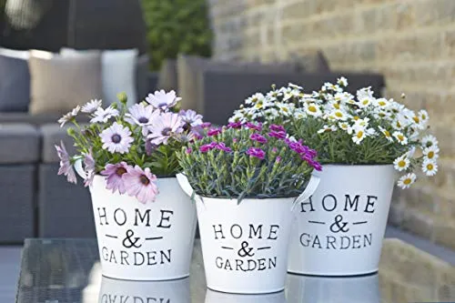 Klocke Dekorationsbedarf Wunderschönes Zink Pflanzgefäß/Pflanztopf - Home & Garden - Indoor & Outdoor - Frostfest - Weißer Zinktopf/Zinkgefäß/Blumentopf/Tischdeko (Klein - Höhe: 16cm)